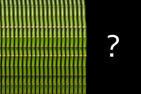 Bamboo and question mark Stock Photos