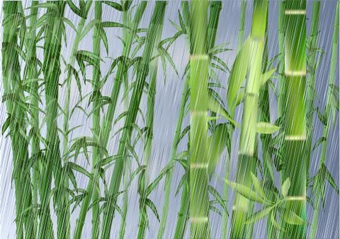 Bamboo and rain Stock Illustration
