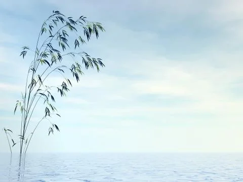 Bamboo and water - 3D render Stock Illustration
