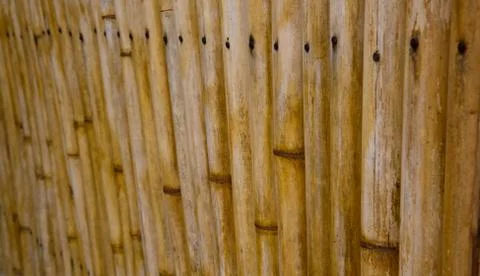 Bamboo arranged as background Stock Photos