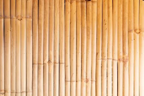 Bamboo background arranged vertically Stock Photos
