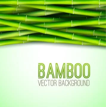 Bamboo  background concept. Vector illustration Stock Illustration