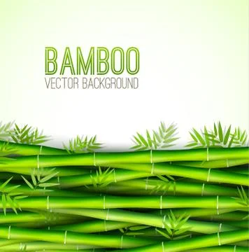 Bamboo  background concept. Vector illustration Stock Illustration