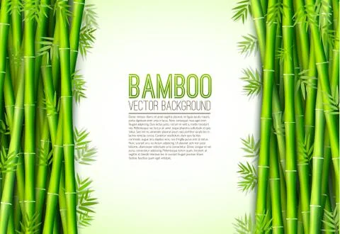 Bamboo  background concept. Vector illustration Stock Illustration