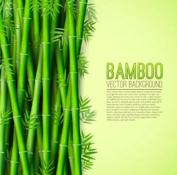 Bamboo background concept. Vector illustration desing Stock Illustration