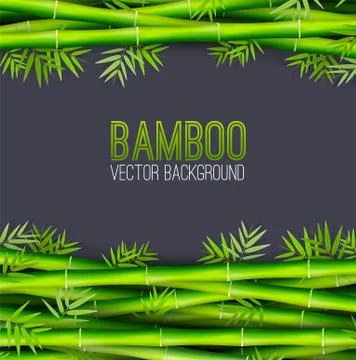 Bamboo background concept. Vector illustration desing Stock Illustration
