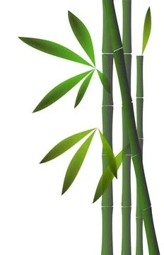 Bamboo background with copy space Stock Illustration