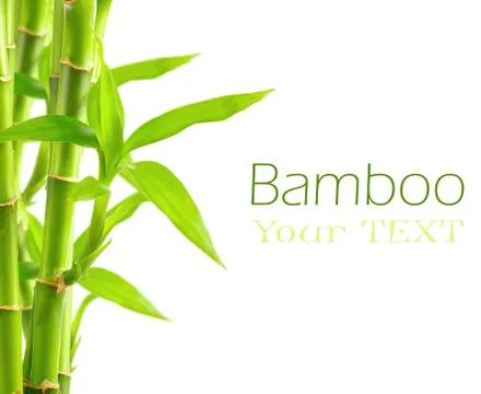 Bamboo background with copy space Stock Photos