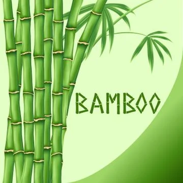 Bamboo Background Stock-Illustration