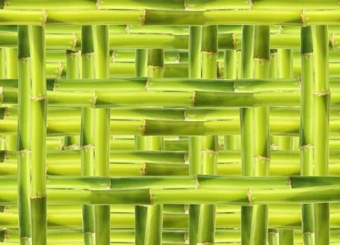 Bamboo background Ilustración de archivo