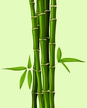 Bamboo background Stock Illustration