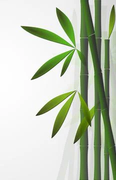 Bamboo background over white Stock Illustration
