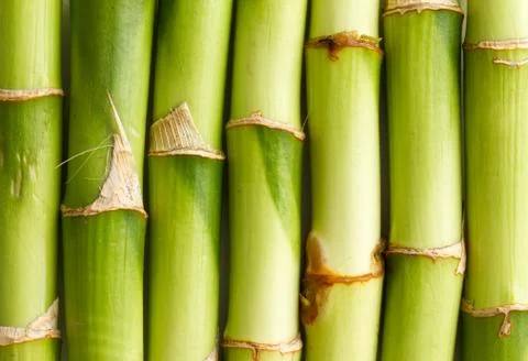 Bamboo background Stock Photos