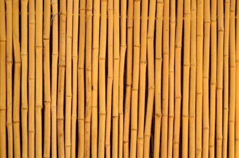 Bamboo Background Stock-Fotos