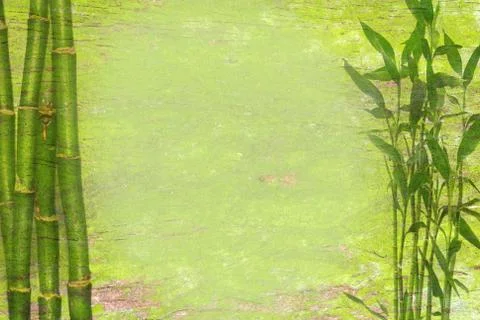 Bamboo  background Stock Photos