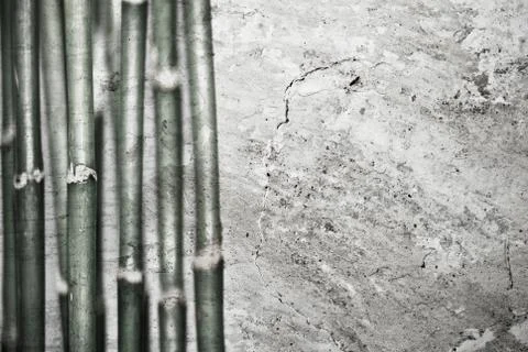 Bamboo background Foto stock