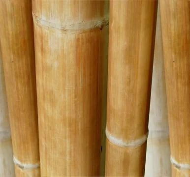 Bamboo background Stock-Fotos