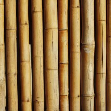 Bamboo background Stock Photos