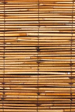 Bamboo background Foto stock