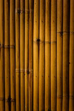 Bamboo background Foto stock