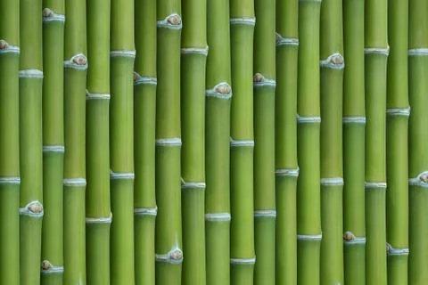Bamboo background Stock Photos