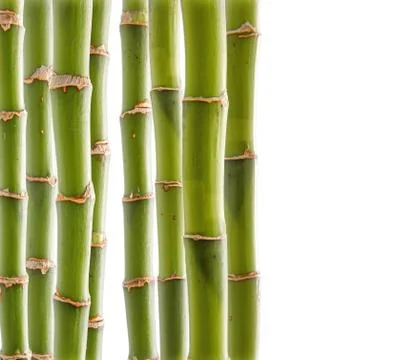 Bamboo background Stock Photos