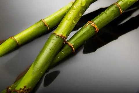 Bamboo background Foto stock