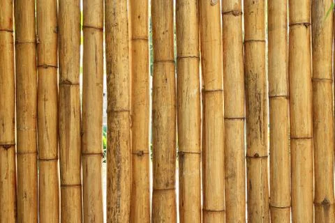 Bamboo background Stock Photos