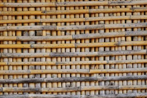 Bamboo background. Stock Photos