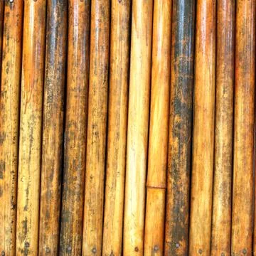 Bamboo background Stock Photos