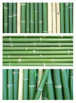 Bamboo background Foto stock