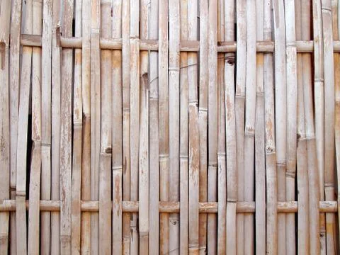 Bamboo background Stock Photos