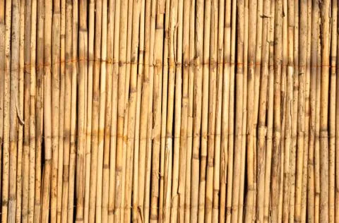Bamboo background Stock Photos