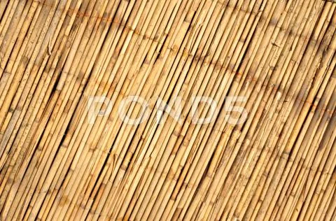 Bamboo background Stock Photos