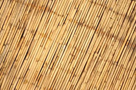 Bamboo background Stock Photos