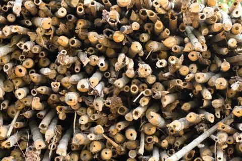 Bamboo background Stock Photos