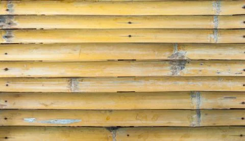 Bamboo background Foto stock