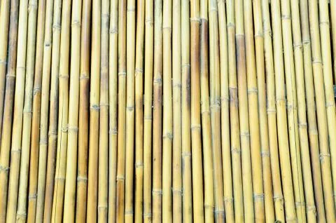 Bamboo background Stock Photos