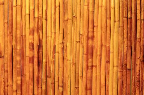 Bamboo background 스톡 사진