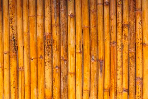 Bamboo background Stock Photos