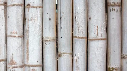 Bamboo background Stock Photos