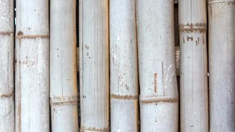 Bamboo background Stock Photos