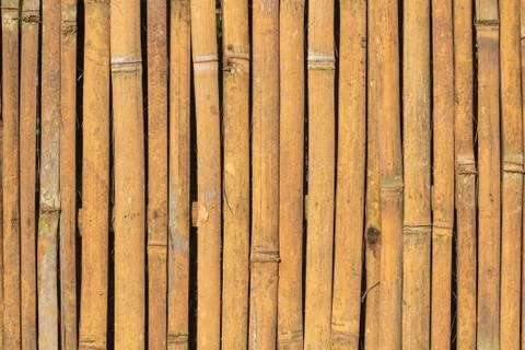 Bamboo background Stock Photos