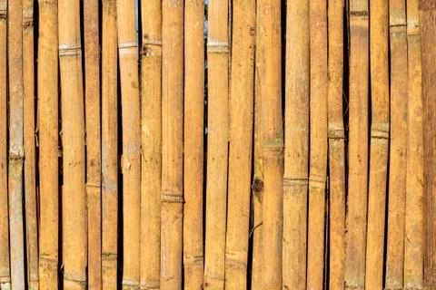 Bamboo background Stock Photos