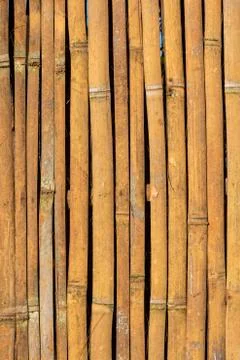 Bamboo background Stock Photos