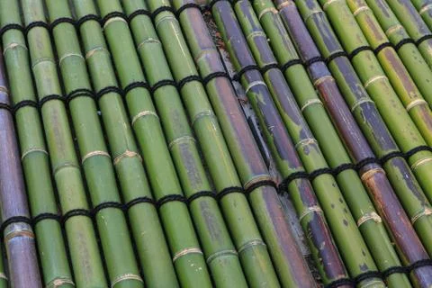 Bamboo background Foto stock