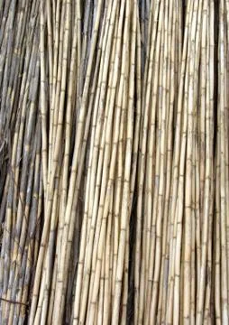 Bamboo background Foto stock