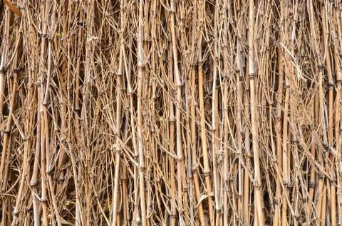 Bamboo background Stock Photos