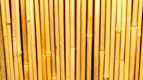 Bamboo background Stock Photos