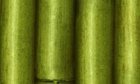 Bamboo background Stock Photos